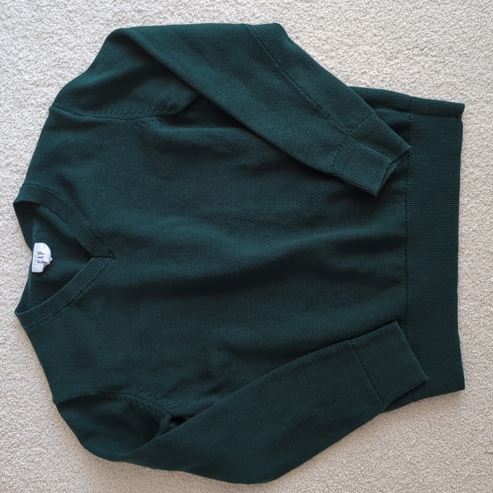 3 for $30. evergreen v-neck sweater
